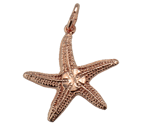 Sea Star Wave